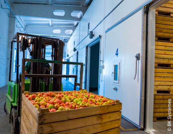 Stockage Frigorifique : Equipement et Gestion des Stocks