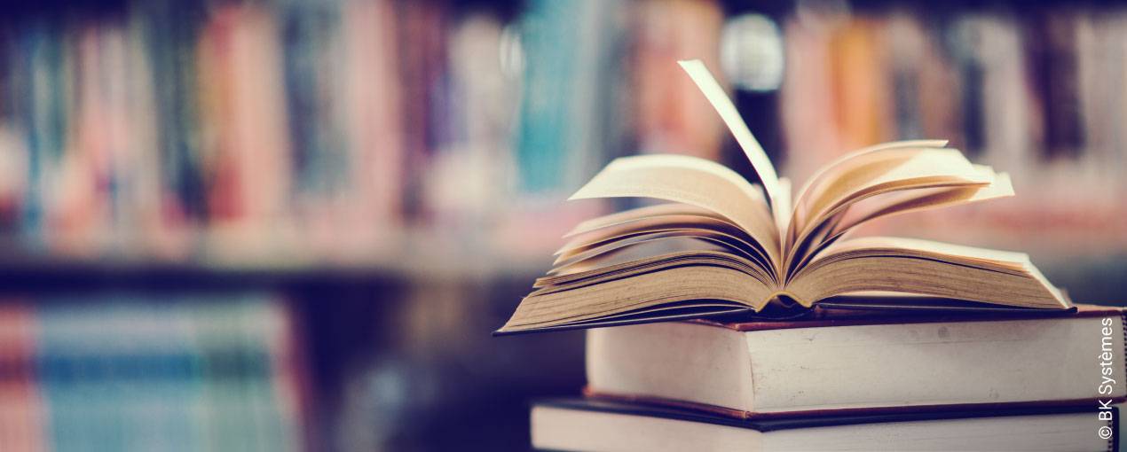 Livre2 web - Attribut alt par défaut.